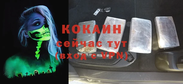 ECSTASY Богданович