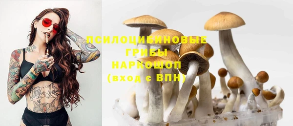 метадон Богородицк