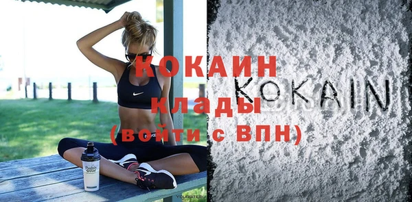 ECSTASY Богданович