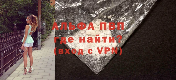 ECSTASY Богданович