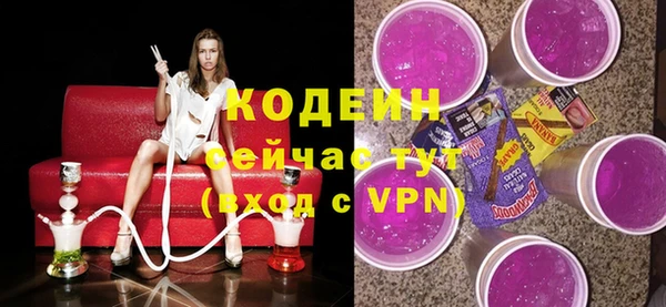 ECSTASY Богданович