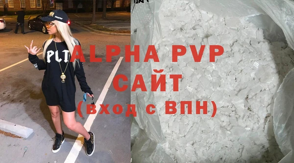 ECSTASY Богданович