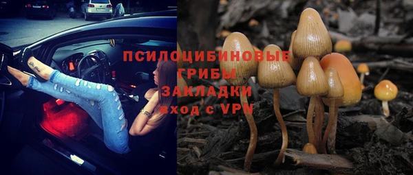 ECSTASY Богданович