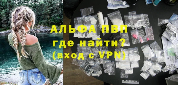 ECSTASY Богданович