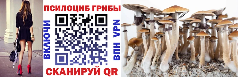 купить наркотики сайты  ссылка на мегу ONION  Псилоцибиновые грибы MAGIC MUSHROOMS  Реж 
